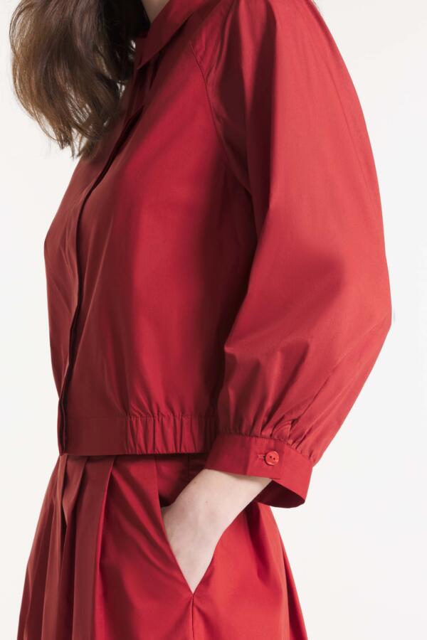 15221WC_BRICK_CACTUS_2